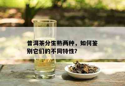 普洱茶分生熟两种，如何鉴别它们的不同特性？