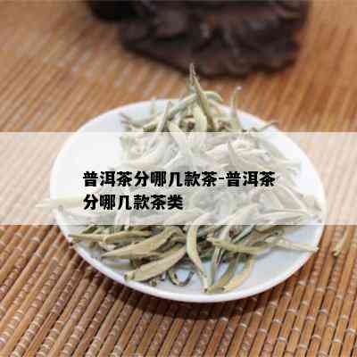 普洱茶分哪几款茶-普洱茶分哪几款茶类