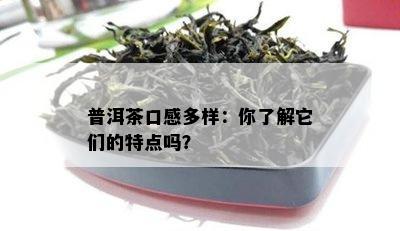 普洱茶口感多样：你了解它们的特点吗？