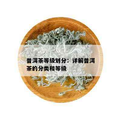 普洱茶等级划分：详解普洱茶的分类和等级