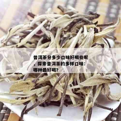 普洱茶分多少口味好喝些呢，探索普洱茶的多样口味：哪种更好喝？