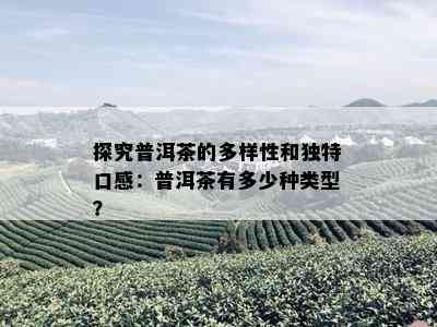 探究普洱茶的多样性和独特口感：普洱茶有多少种类型？