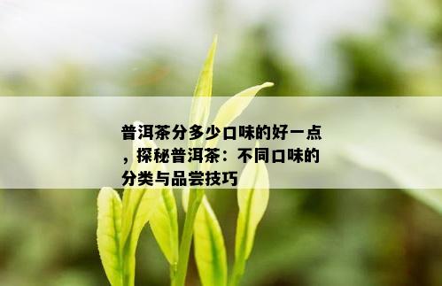 普洱茶分多少口味的好一点，探秘普洱茶：不同口味的分类与品尝技巧