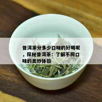 普洱茶分多少口味的好喝呢，探秘普洱茶：了解不同口味的美妙体验