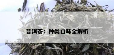 普洱茶：种类口味全解析