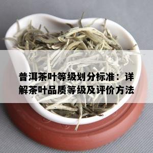 普洱茶叶等级划分标准：详解茶叶品质等级及评价方法