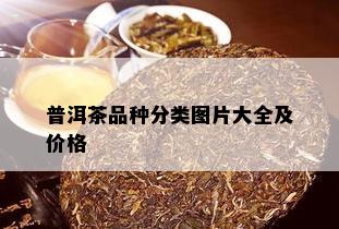 普洱茶品种分类图片大全及价格