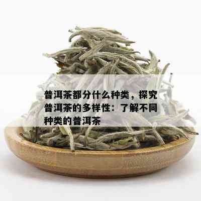 普洱茶都分什么种类，探究普洱茶的多样性：了解不同种类的普洱茶