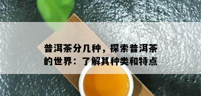 普洱茶分几种，探索普洱茶的世界：了解其种类和特点