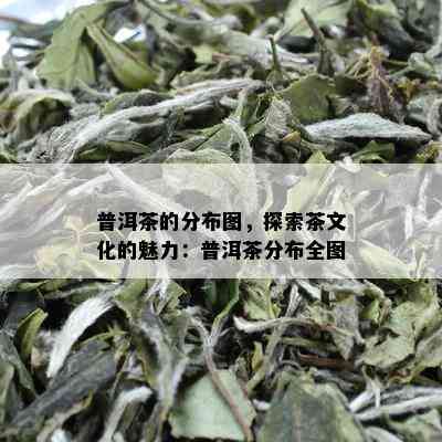 普洱茶的分布图，探索茶文化的魅力：普洱茶分布全图