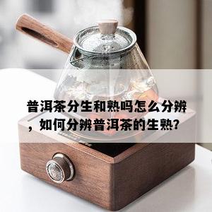 普洱茶分生和熟吗怎么分辨，如何分辨普洱茶的生熟？