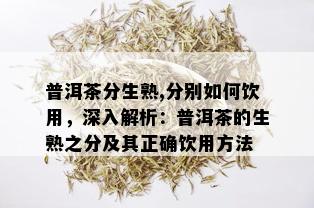 普洱茶分生熟,分别如何饮用，深入解析：普洱茶的生熟之分及其正确饮用方法