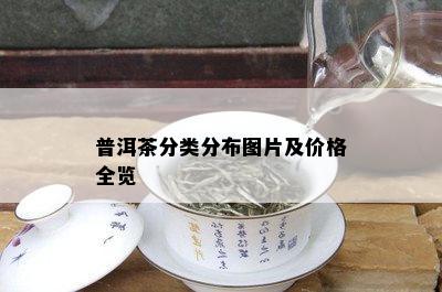 普洱茶分类分布图片及价格全览