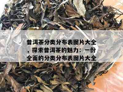 普洱茶分类分布表图片大全，探索普洱茶的魅力：一份全面的分类分布表图片大全