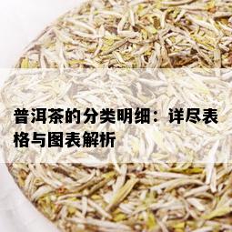 普洱茶的分类明细：详尽表格与图表解析