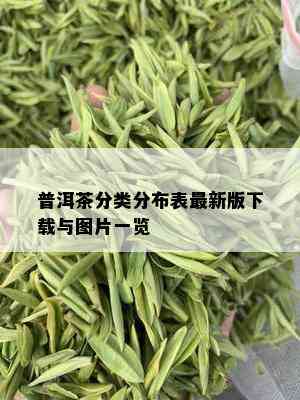 普洱茶分类分布表最新版下载与图片一览