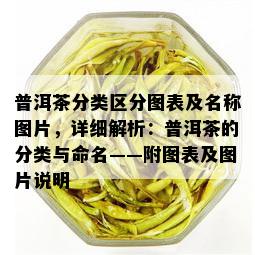 普洱茶分类区分图表及名称图片，详细解析：普洱茶的分类与命名——附图表及图片说明