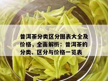 普洱茶分类区分图表大全及价格，全面解析：普洱茶的分类、区分与价格一览表