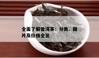 全面了解普洱茶：分类、图片及价格全览