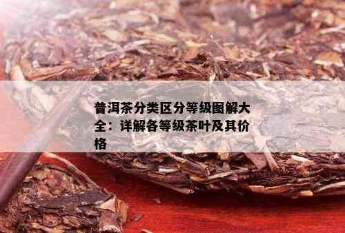 普洱茶分类区分等级图解大全：详解各等级茶叶及其价格