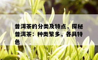 普洱茶的分类及特点，探秘普洱茶：种类繁多，各具特色