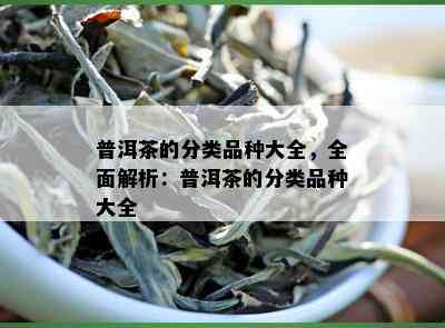 普洱茶的分类品种大全，全面解析：普洱茶的分类品种大全