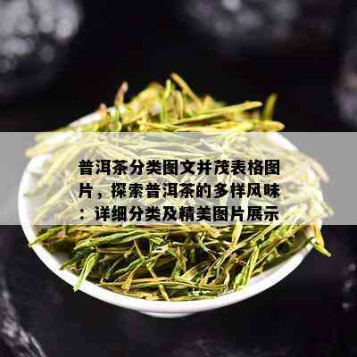 普洱茶分类图文并茂表格图片，探索普洱茶的多样风味：详细分类及精美图片展示