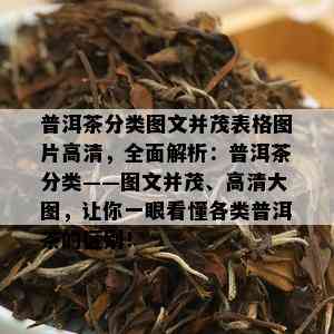 普洱茶分类图文并茂表格图片高清，全面解析：普洱茶分类——图文并茂、高清大图，让你一眼看懂各类普洱茶的区别！