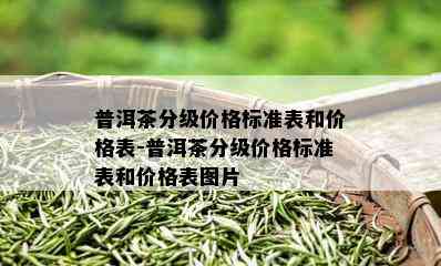 普洱茶分级价格标准表和价格表-普洱茶分级价格标准表和价格表图片