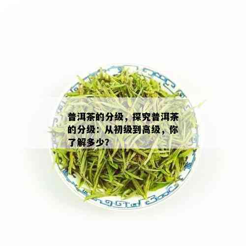 普洱茶的分级，探究普洱茶的分级：从初级到高级，你了解多少？