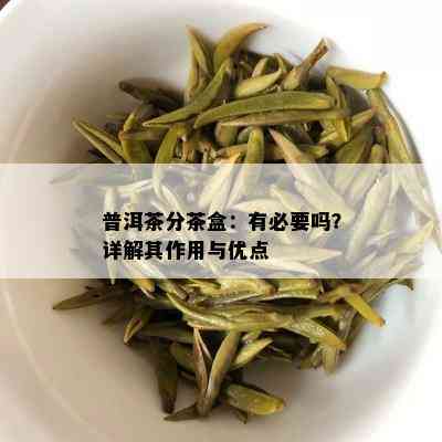 普洱茶分茶盒：有必要吗？详解其作用与优点