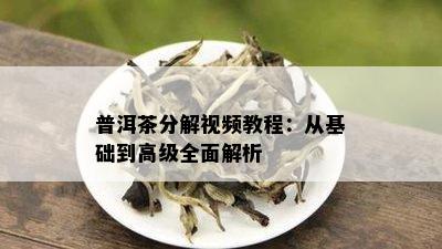 普洱茶分解视频教程：从基础到高级全面解析