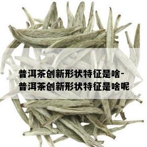 普洱茶创新形状特征是啥-普洱茶创新形状特征是啥呢