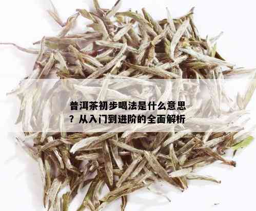 普洱茶初步喝法是什么意思？从入门到进阶的全面解析