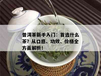 普洱茶新手入门：首选什么茶？从口感、功效、价格全方面解析！