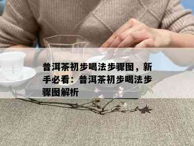 普洱茶初步喝法步骤图，新手必看：普洱茶初步喝法步骤图解析