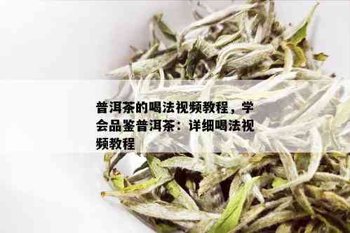 普洱茶的喝法视频教程，学会品鉴普洱茶：详细喝法视频教程