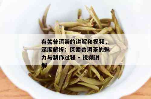 有关普洱茶的讲解和视频，深度解析：探索普洱茶的魅力与制作过程 - 视频讲解