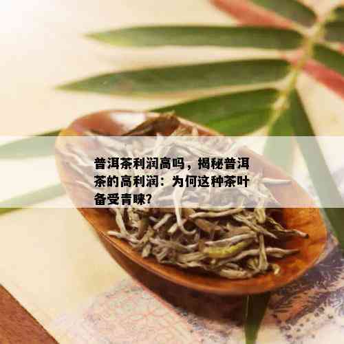 普洱茶利润高吗，揭秘普洱茶的高利润：为何这种茶叶备受青睐？