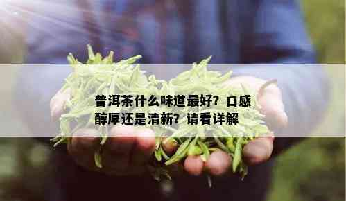 普洱茶什么味道更好？口感醇厚还是清新？请看详解