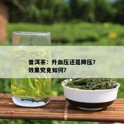 普洱茶：升血压还是降压？效果究竟如何？