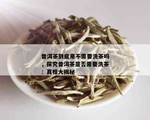 普洱茶到底用不需要洗茶吗，探究普洱茶是否需要洗茶：真相大揭秘