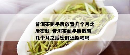 普洱茶到手后放置几个月之后密封-普洱茶到手后放置几个月之后密封还能喝吗