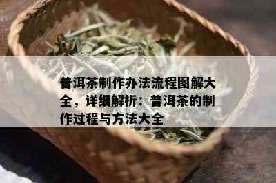 普洱茶制作办法流程图解大全，详细解析：普洱茶的制作过程与方法大全