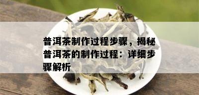 普洱茶制作过程步骤，揭秘普洱茶的制作过程：详细步骤解析