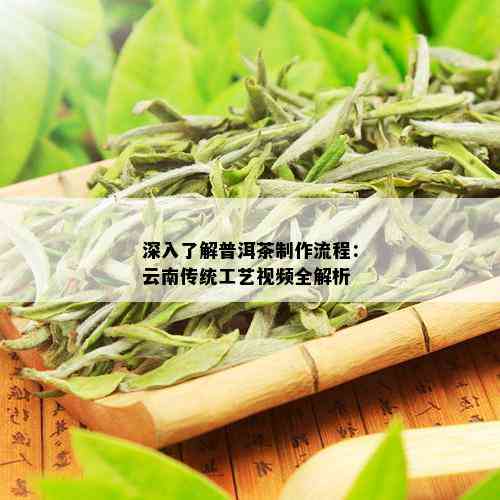 深入了解普洱茶制作流程：云南传统工艺视频全解析