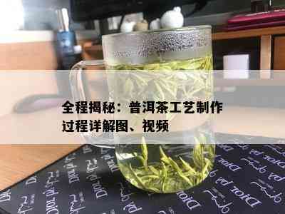 全程揭秘：普洱茶工艺制作过程详解图、视频