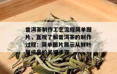 普洱茶制作工艺流程简单图片，直观了解普洱茶的制作过程：简单图片展示从鲜叶到成品的关键步骤