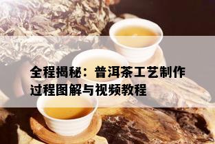 全程揭秘：普洱茶工艺制作过程图解与视频教程