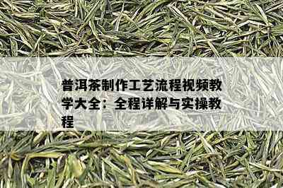 普洱茶制作工艺流程视频教学大全：全程详解与实操教程